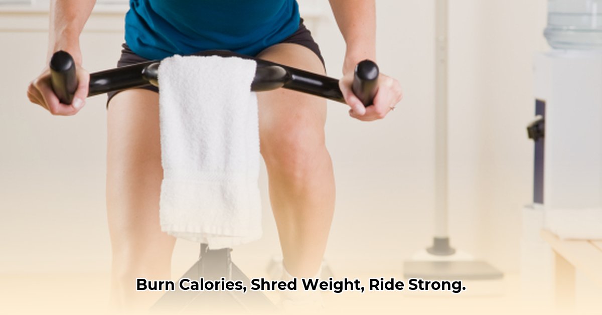 best-bicycle-for-weight-loss